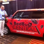 Bedbugs