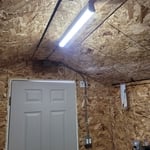Past Projects
