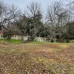 Tree Removal
