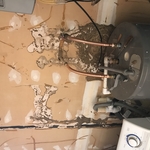 Termite damage