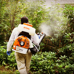 Mosquito control
