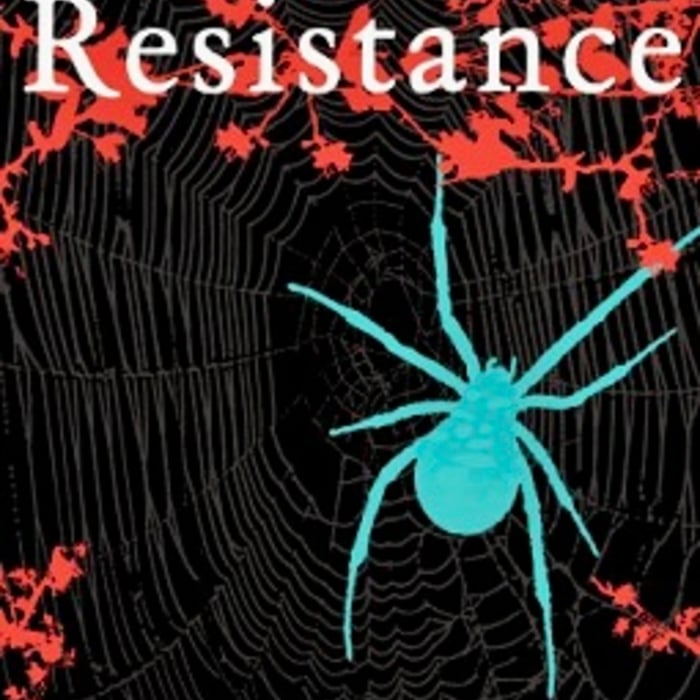 Spider elimination