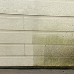 Siding Mold/Mildew Removal
