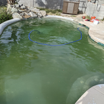 Green Pool