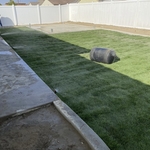 Sod installation