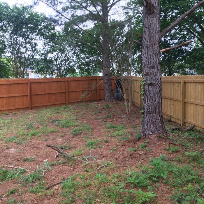 Fence stain