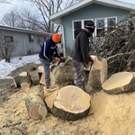 Tree Removal