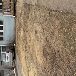 A photo after removing logs