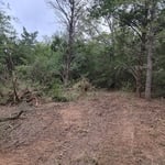 Before Clearing for Road