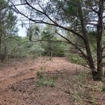 During Road Clearing