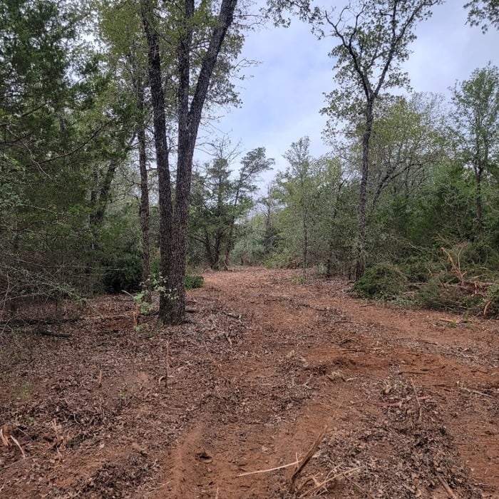 After Road Clearing