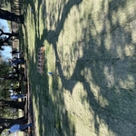 Sprinkler system and Lans