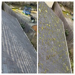 Moss removal