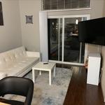 Downtown Apartment Clean