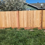 Cedar Fence