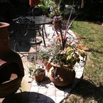 Backyard Patio Extension