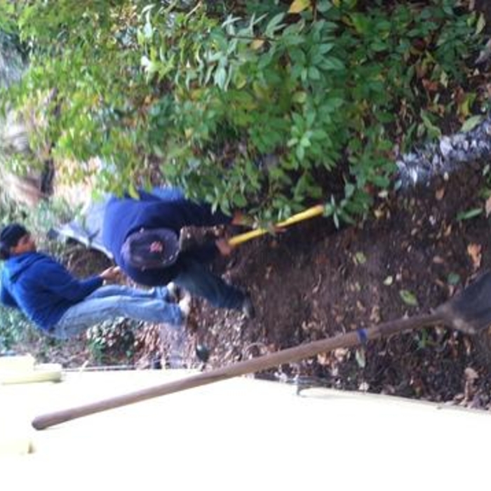 Drainage and landscape