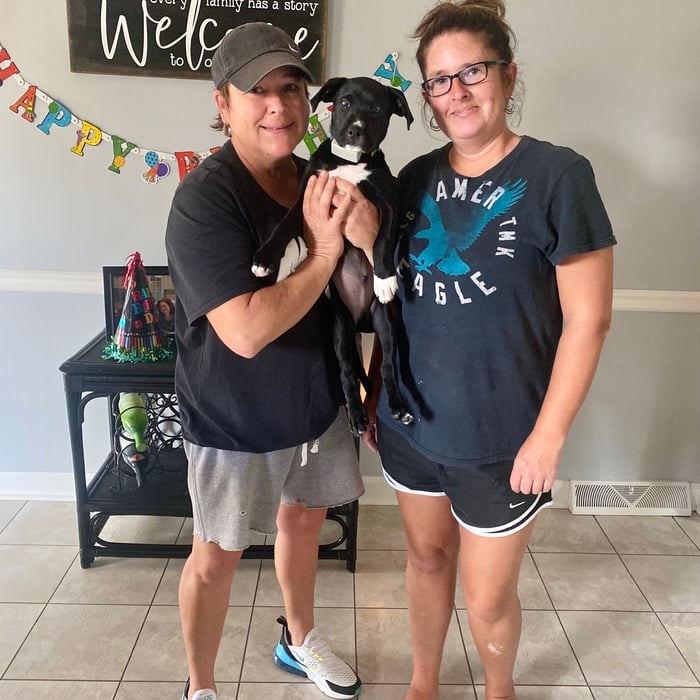 Welcome to the Dog Guard family!