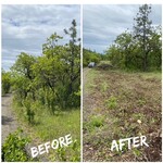 before and after of roadside brush clearing