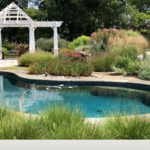 Pool and plant installation