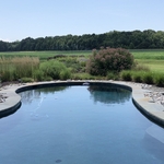Pool and planting