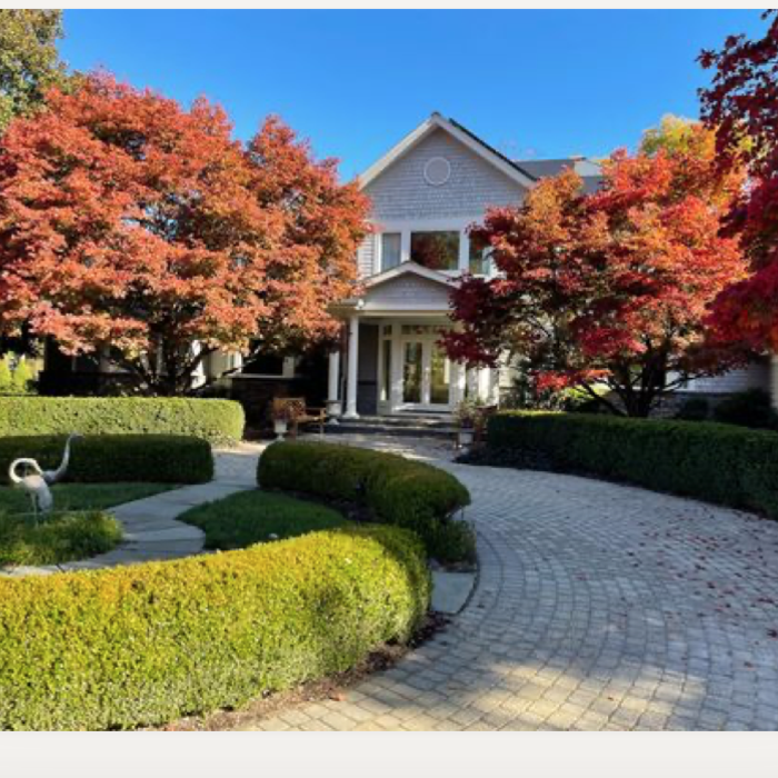 Established landscaping
