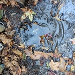 Irrigation Repair