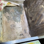 Mold in bathroom vanity