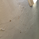 Mold in bathroom