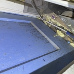 HVAC closet mold