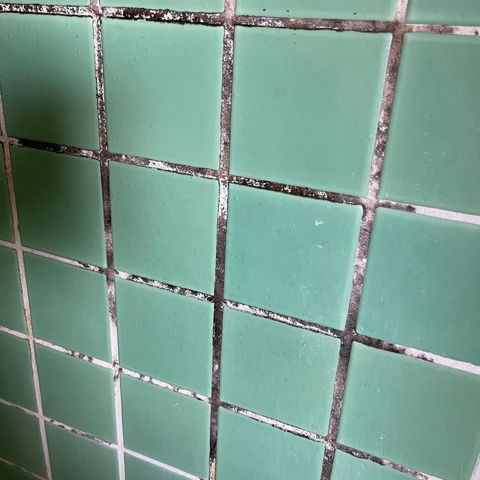 Mold In bathroom grout