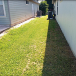Yard Work