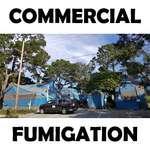 Commercial Building Fumigation