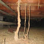 Subterranean Termite Treatment