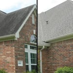 Roof cleaning
