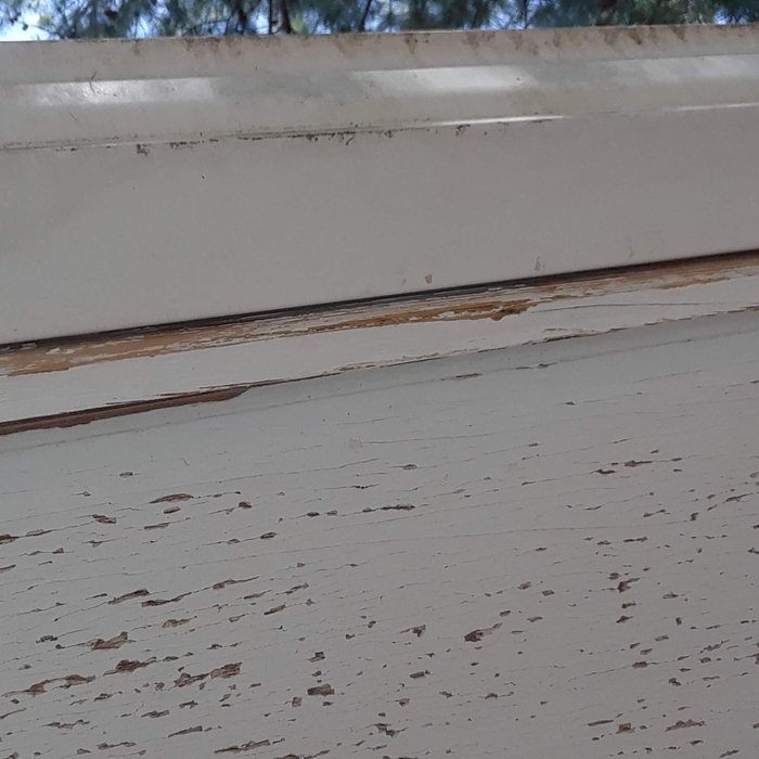 Painting and Roofing