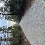 Main road