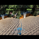 Roof Cleaning