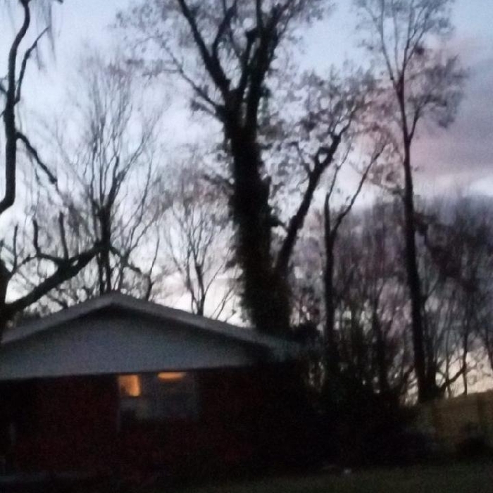 Tree trimming
