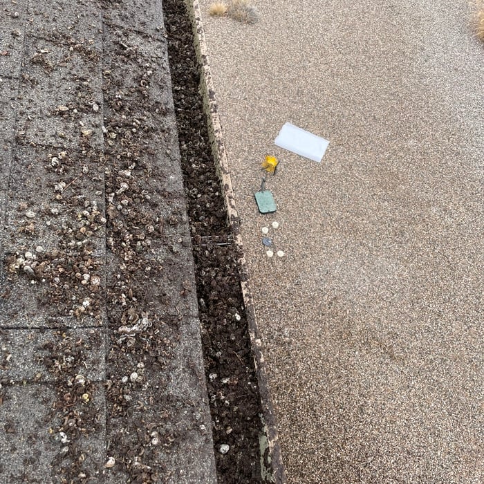 After years of pigeon waste