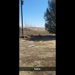 Tree trimming and clean u