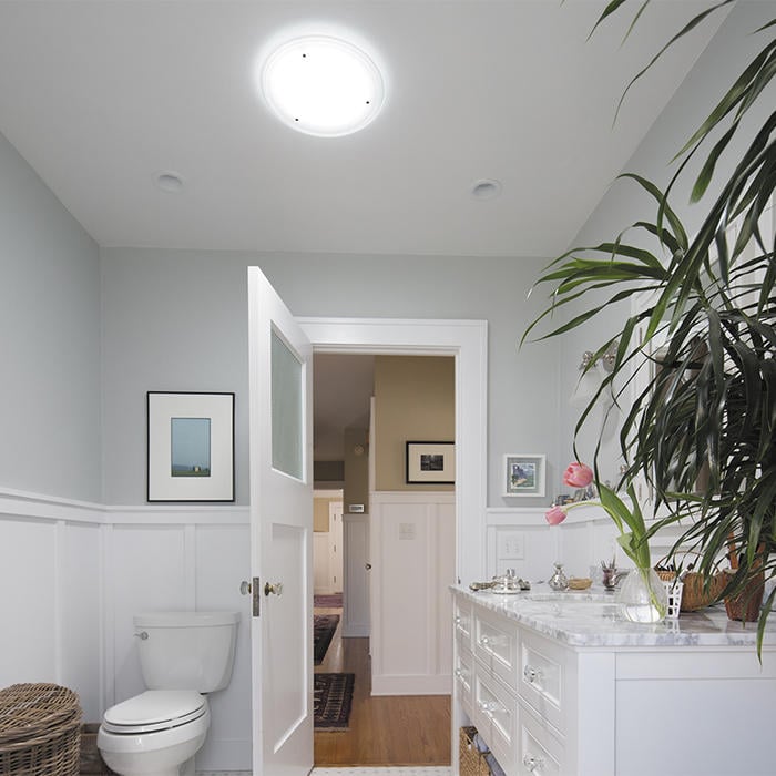 Cool white bathroom with tropical feel