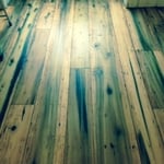 Our Work