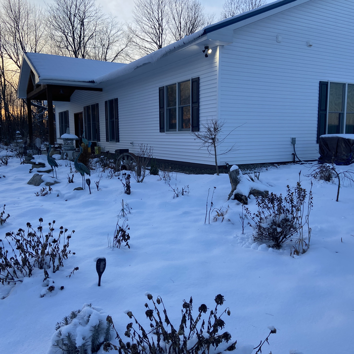 Outside the house