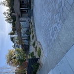 Front landscape remodel