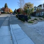 Front landscape remodel