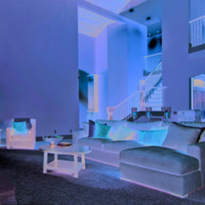 Five Star Painting 15