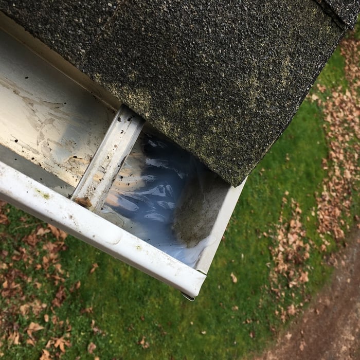 Gutter Cleaning