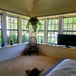 Clean Windows