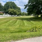 cut and trimming with strips